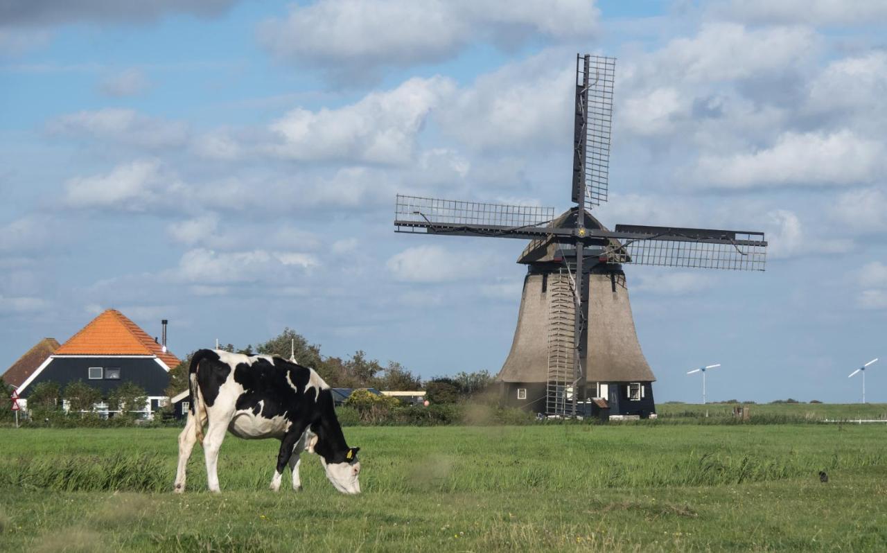 Casa vacanze Koningshof Schoorl